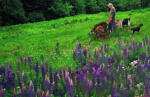 來自有意思吧（www.u148.net）